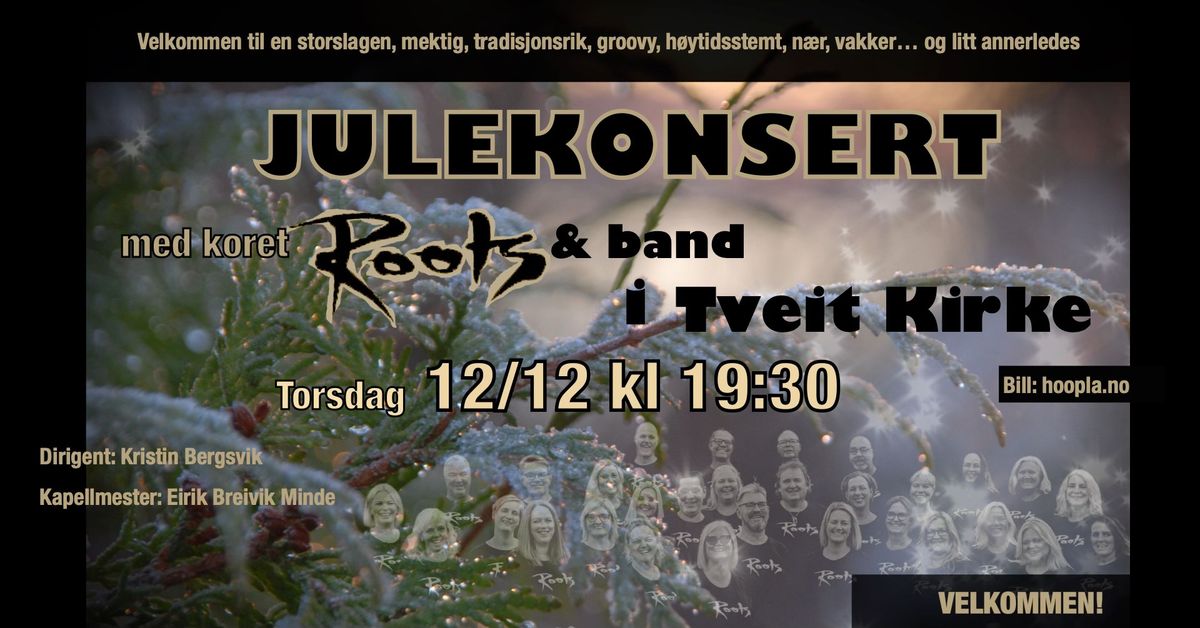 JULEKONSERT med Roots & band