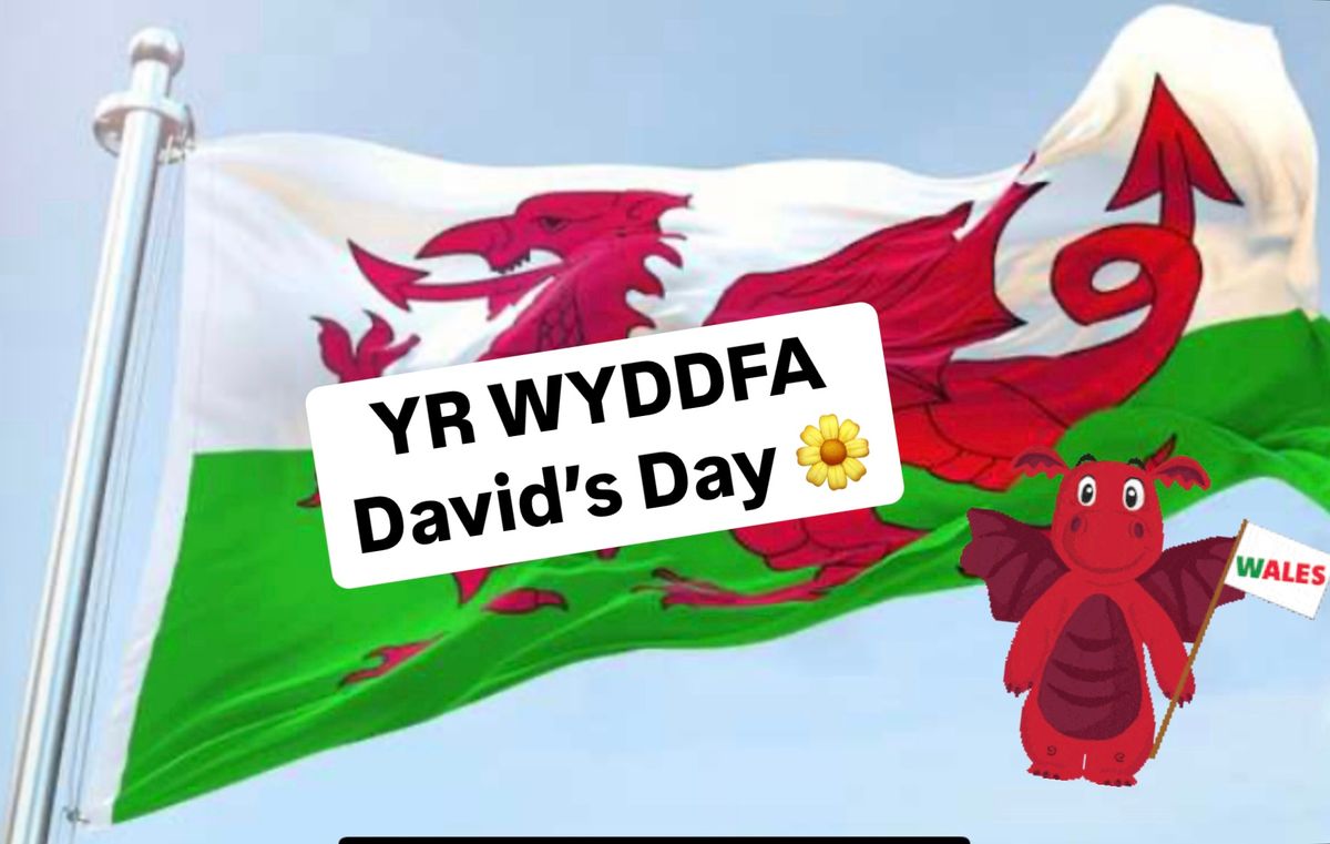 Climb Yr Wyddfa St Davids Day Celebration with Kelly!