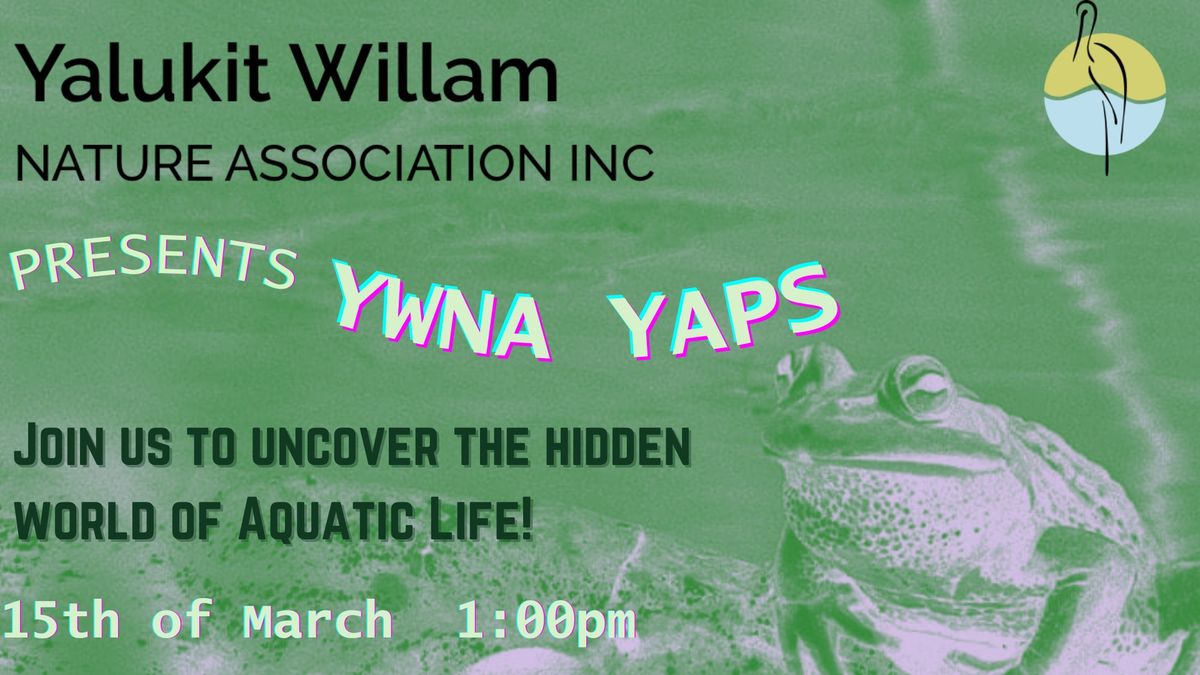 Exploring the Hidden World of Aquatic Life \u2013 YWNA YAPS