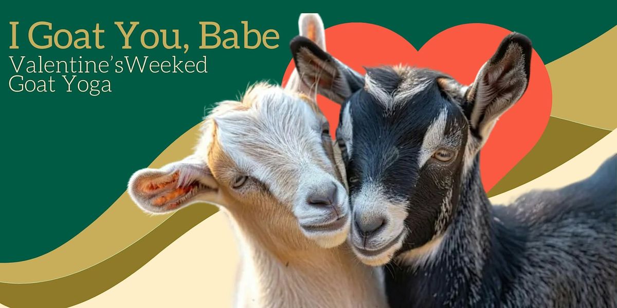 Valentine's Goat Yoga in Arlington (Indoor)