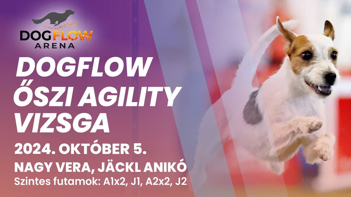 DogFlow \u0150szi Agility Vizsga