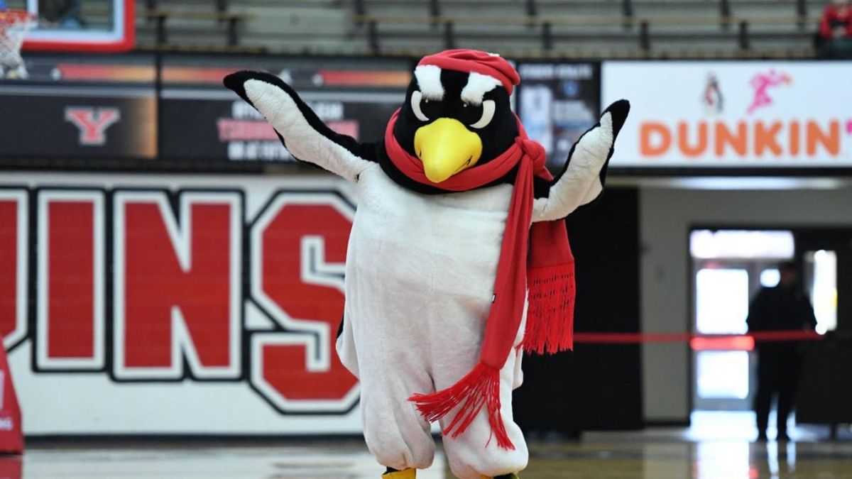 Youngstown State Penguins at South Carolina Gamecocks Softball