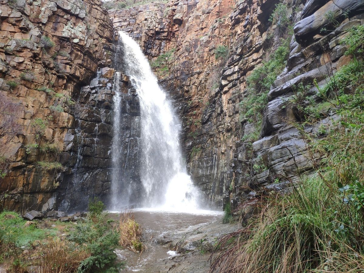 First Falls habitat restoration