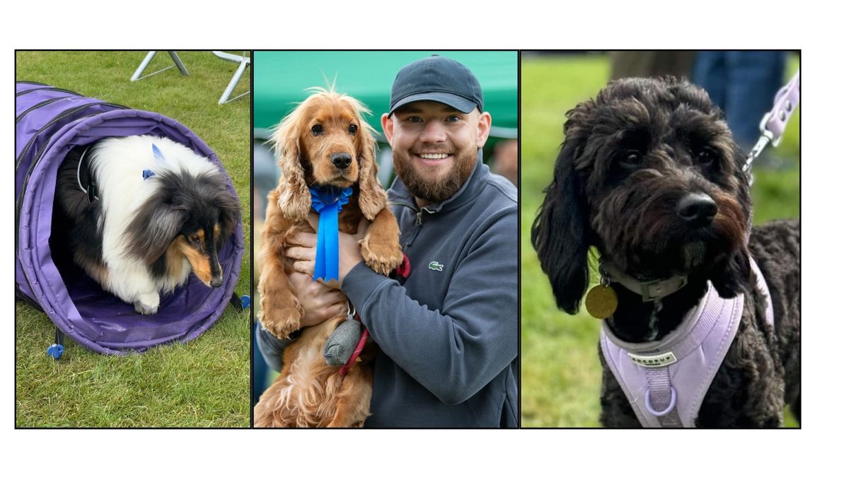 PAWS Fun Dog Show & Agility at Todmorden Country Fair