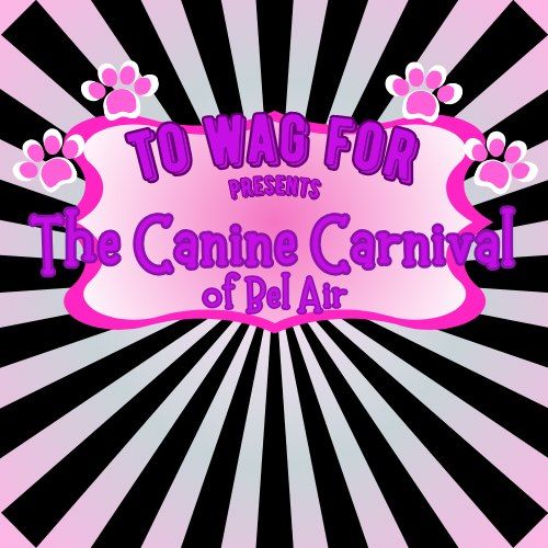 The Canine Carnival!