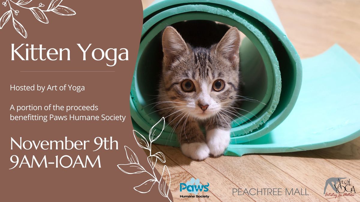 Kitten Yoga benefitting Paws Humane