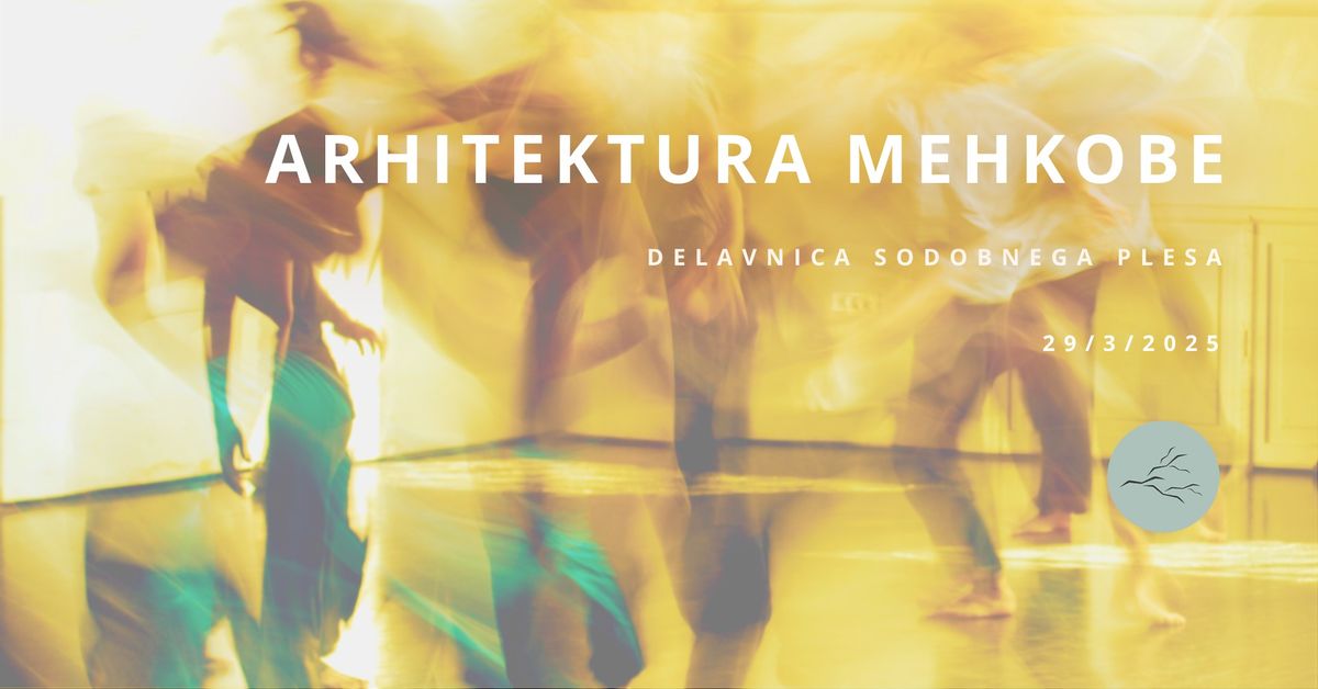 Arhitektura mehkobe VII. | Delavnica sodobnega plesa