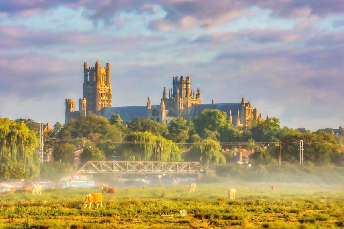 Veronica in the Fens at Ely Market 