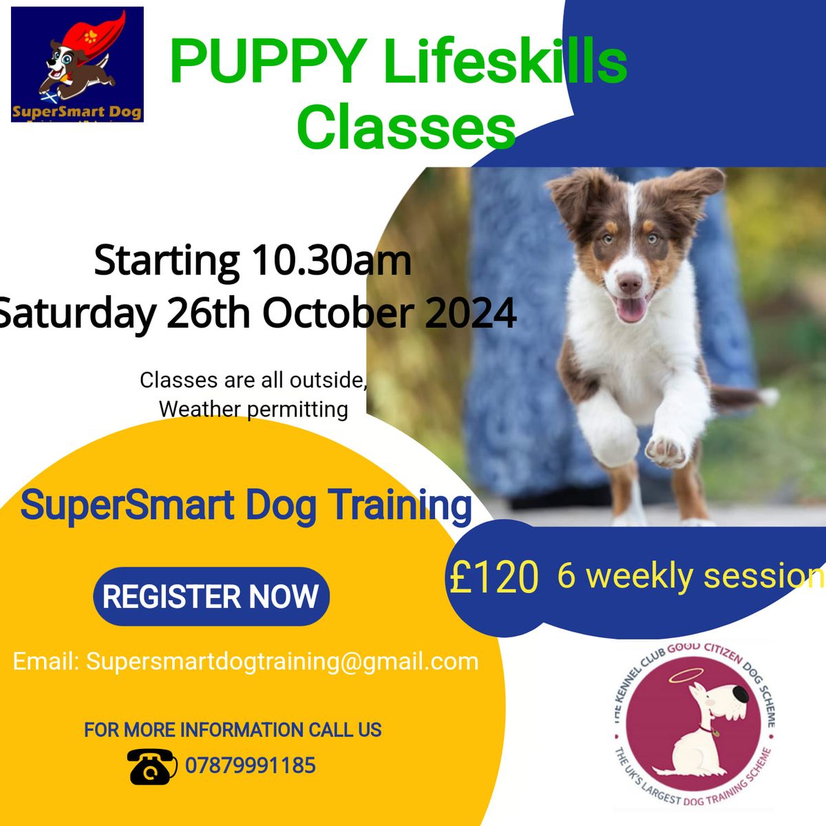 Puppy's Lifeskills Classes Oct Start