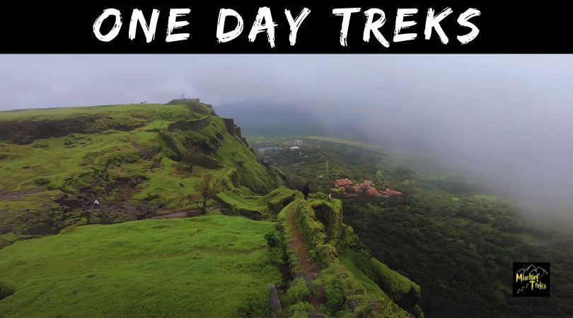 One Day Trek Near Mumbai | Easy Waterfall and Jungle Treks