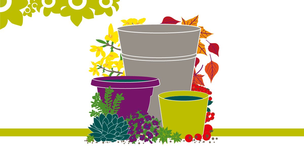 Millbrook Growers Talk: Seasonal Container Gardening