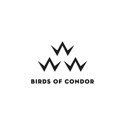 Birds of Condor