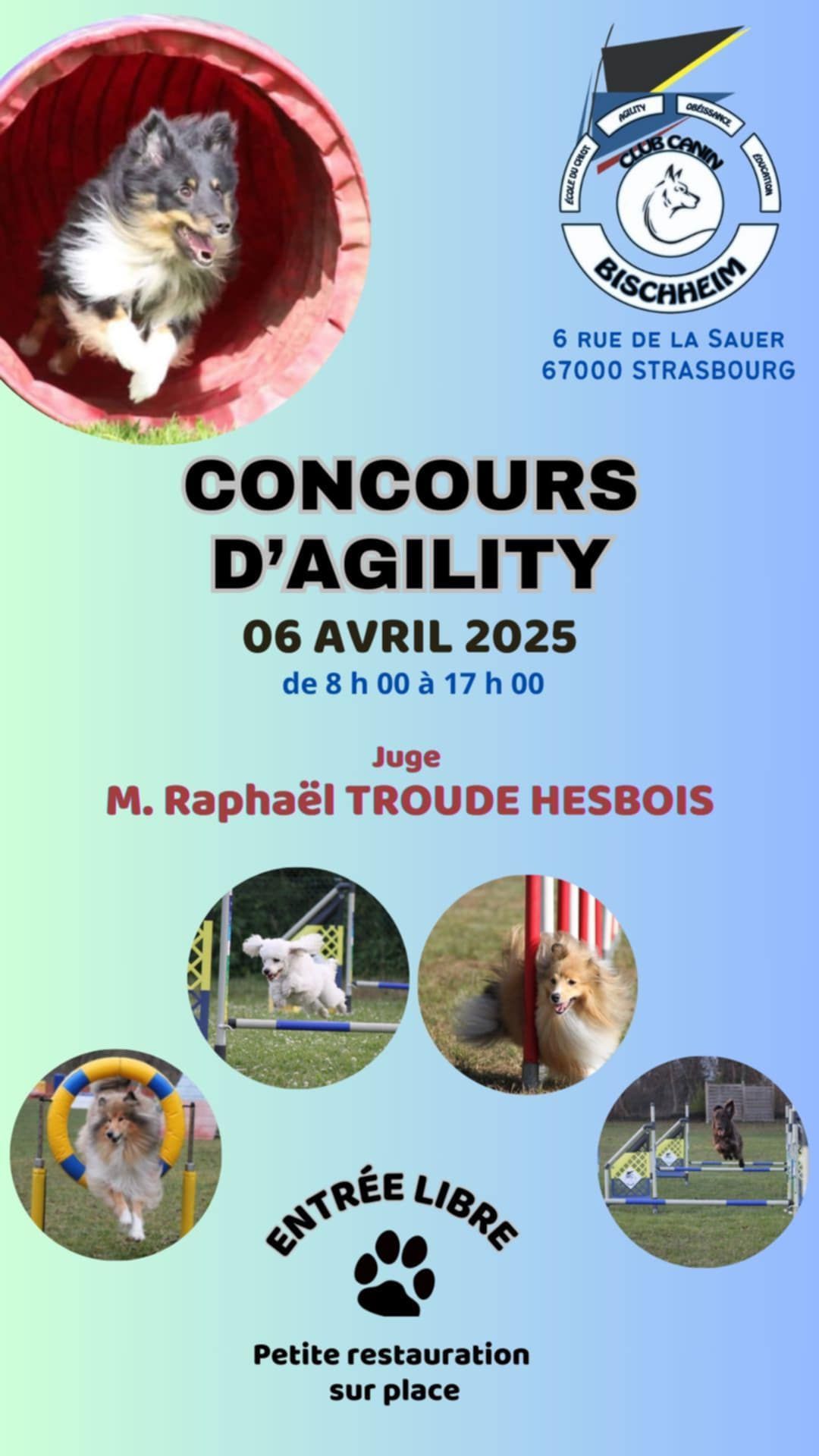 Concours Agility Club Canin de Bischheim 