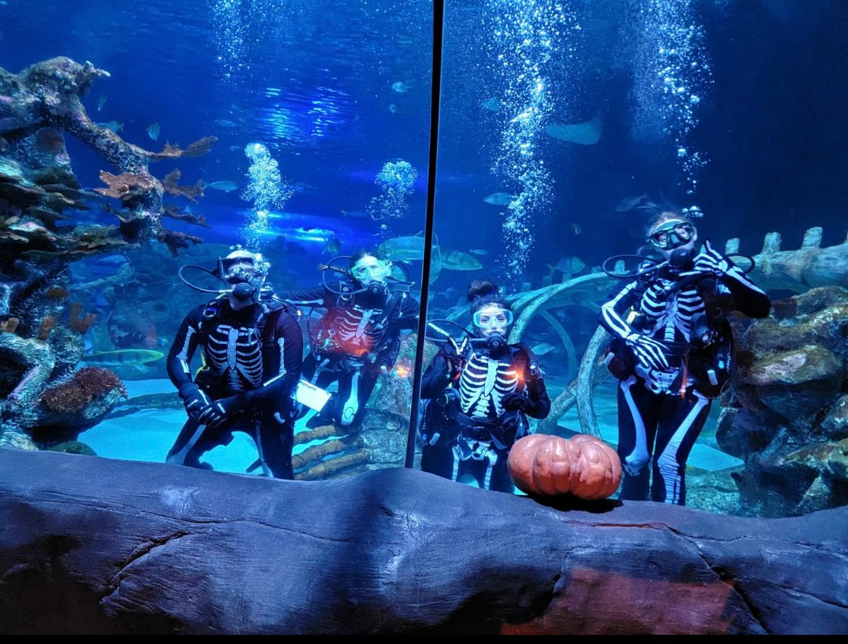 Underwater Pumpkin Carving!