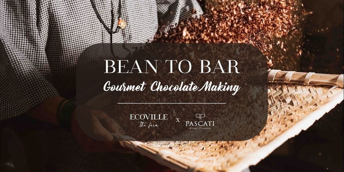 Bean to Bar - Gourmet Artisanal Chocolate Making