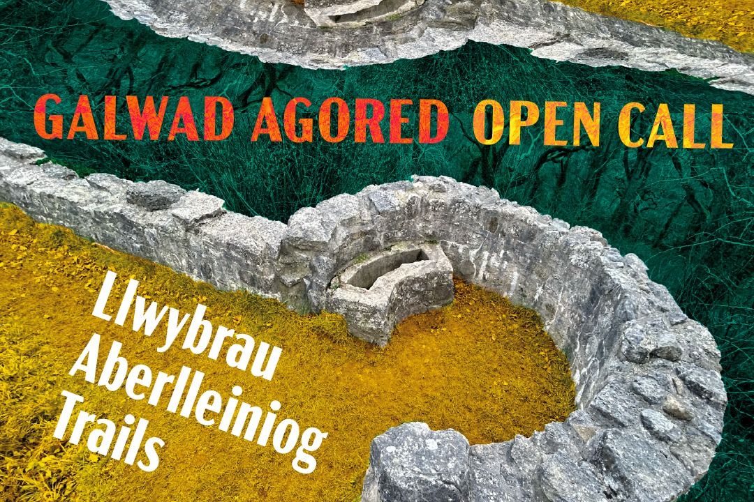 Llwybrau Aberlleiniog Trails 2025 - Open Call