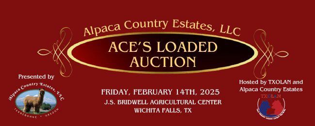 Ace's Loaded Auction