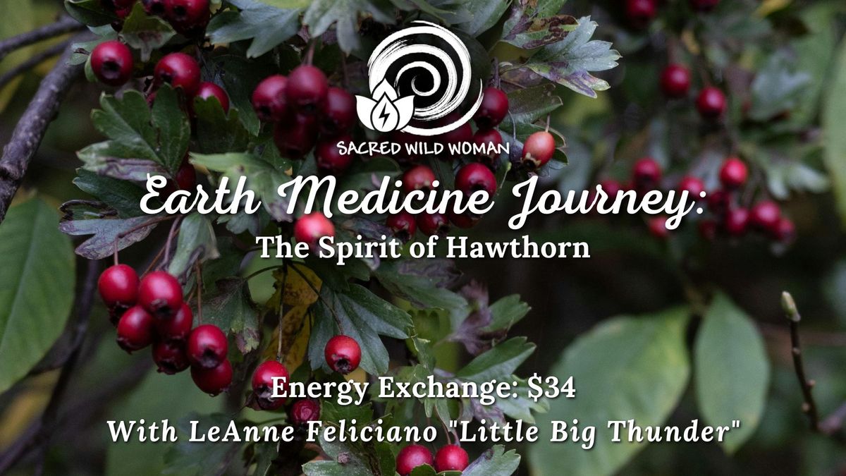 Earth Medicine Journey: The Spirit of Hawthorn