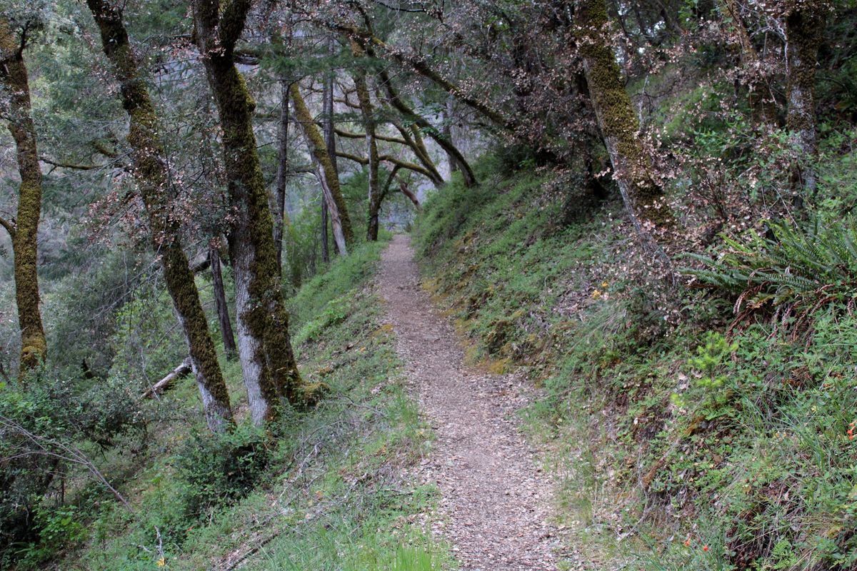 Hike: Rogue River Trail