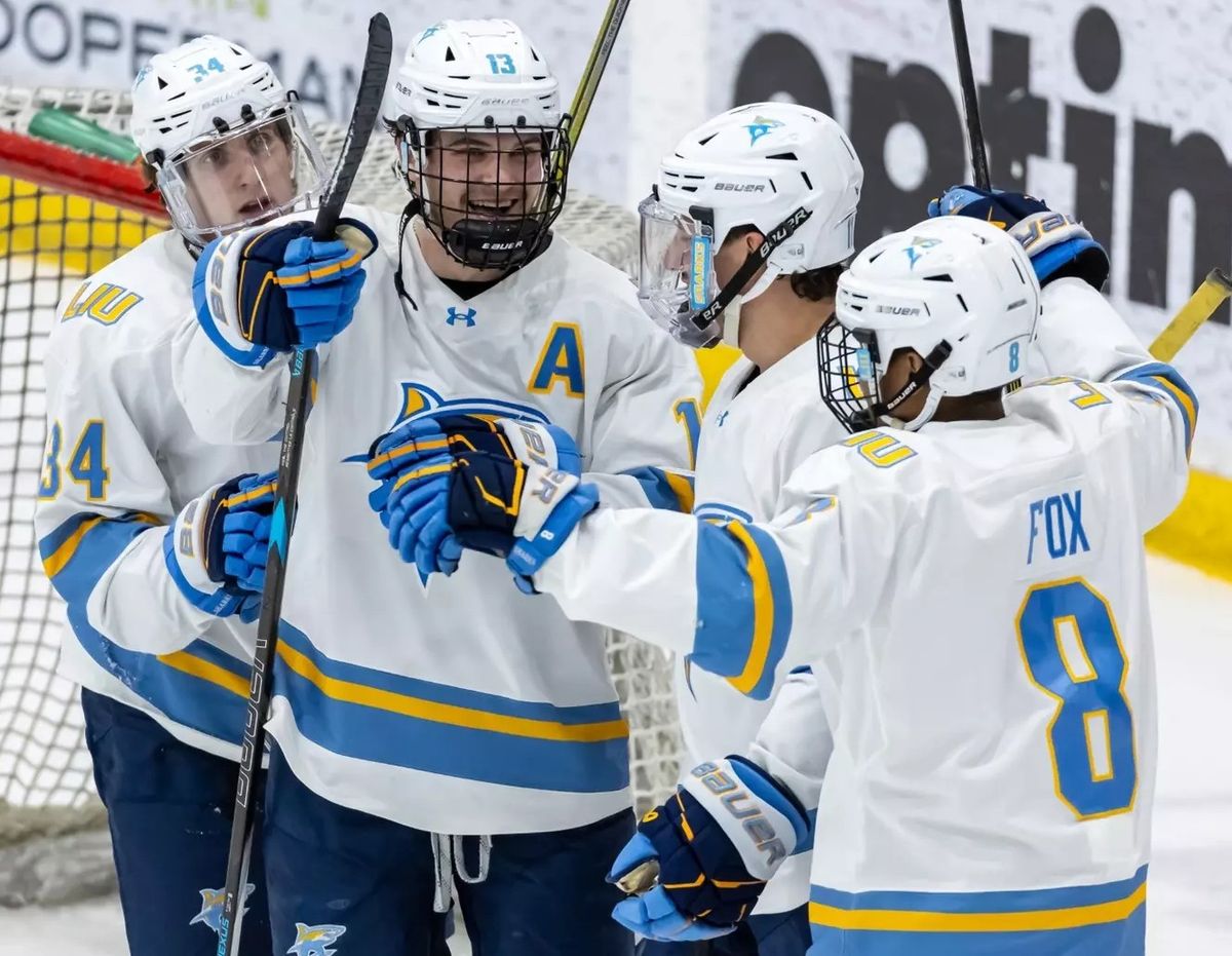 LIU Sharks at Minnesota Golden Gophers Mens Hockey at 3M Arena at Mariucci
