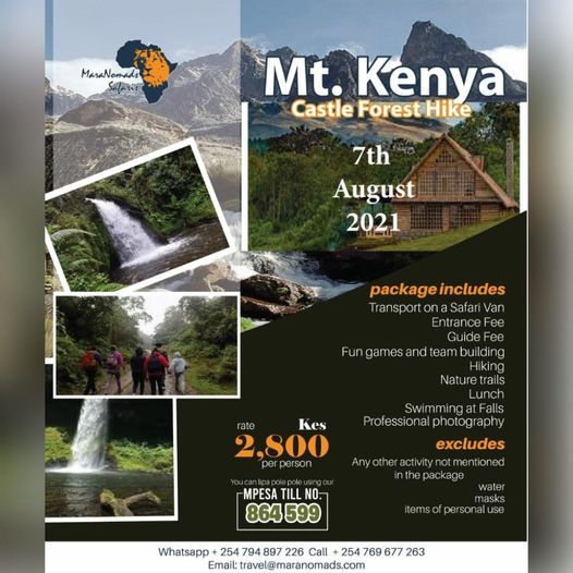 Mt. Kenya Castle Forest Hike