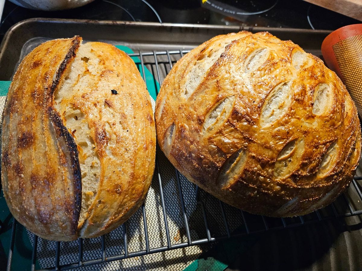 Introducing Sourdough 