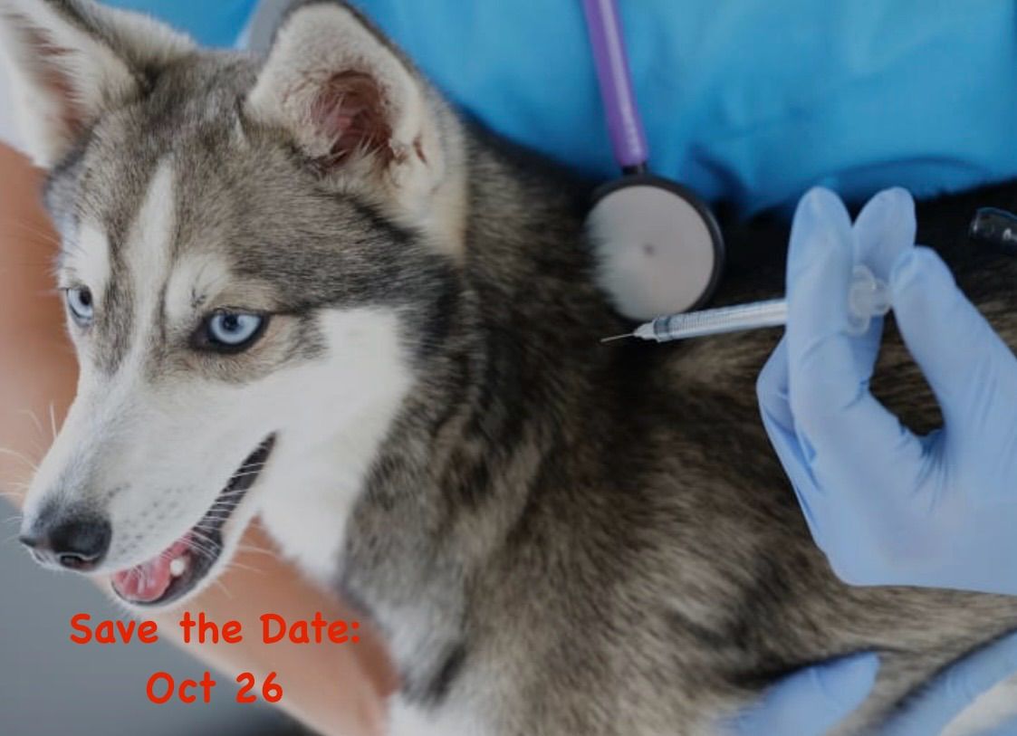 Fall Rabies Clinic