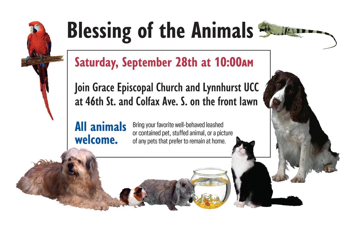 Blessing of the Animals