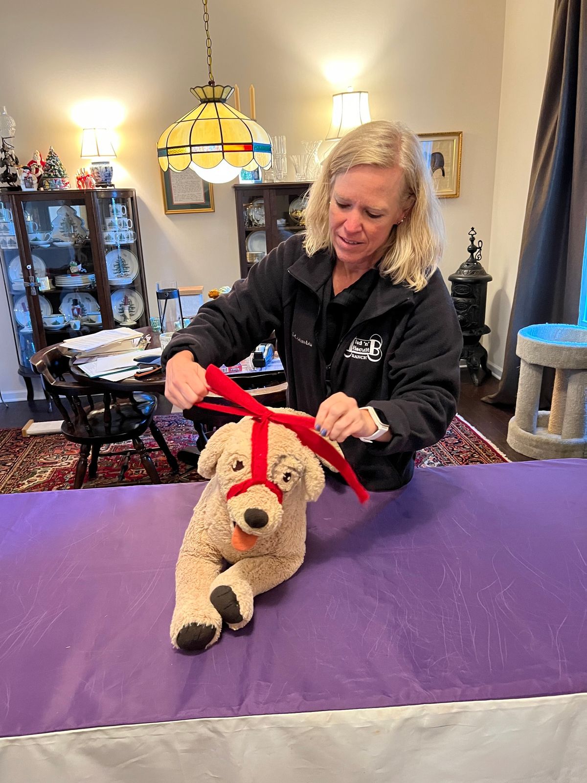 Pet CPR and 1st Aid Class