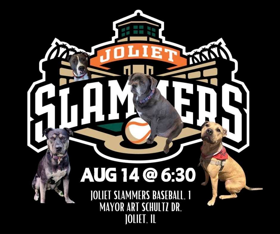 Joliet Slammers - Baseball Dog Day