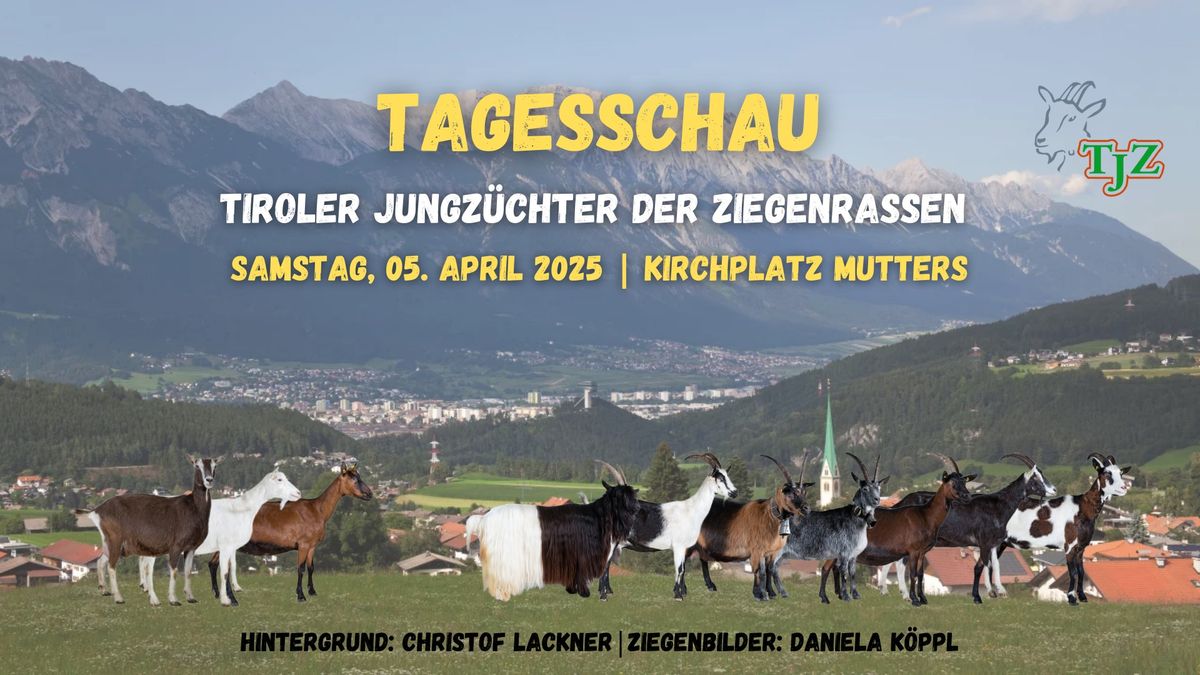 Tagesschau 2025