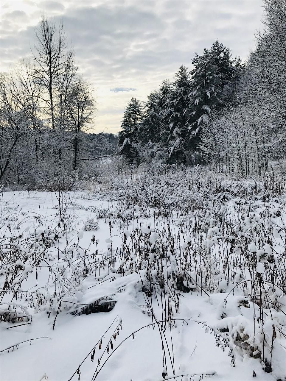 Winter Is My Favorite Season