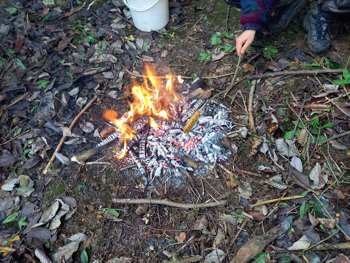 CPD for Forest School; Adventures with Campfire Cooking