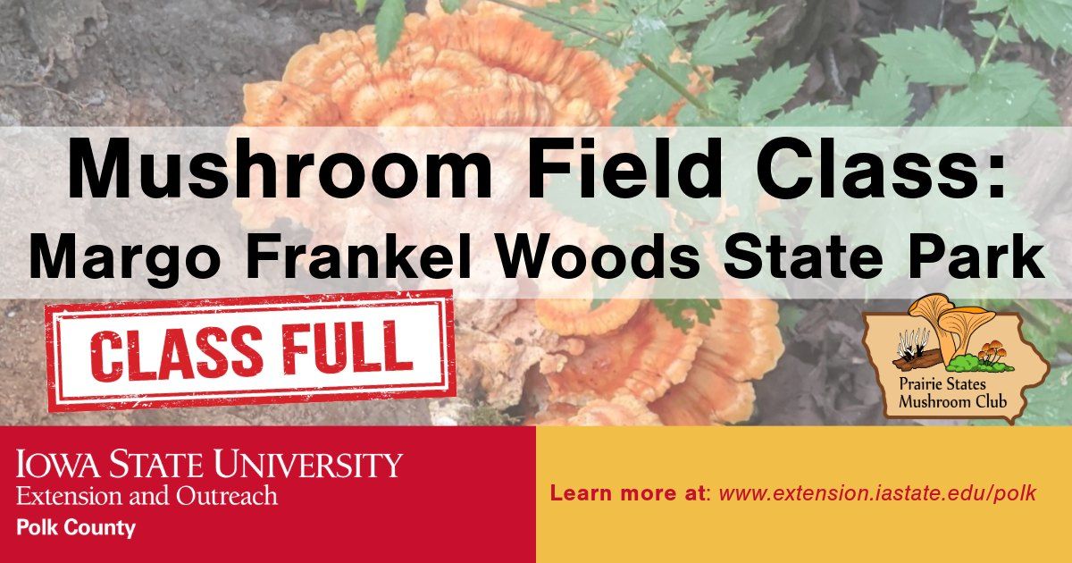 Mushroom Field Class: Margo Frankel Woods State Park