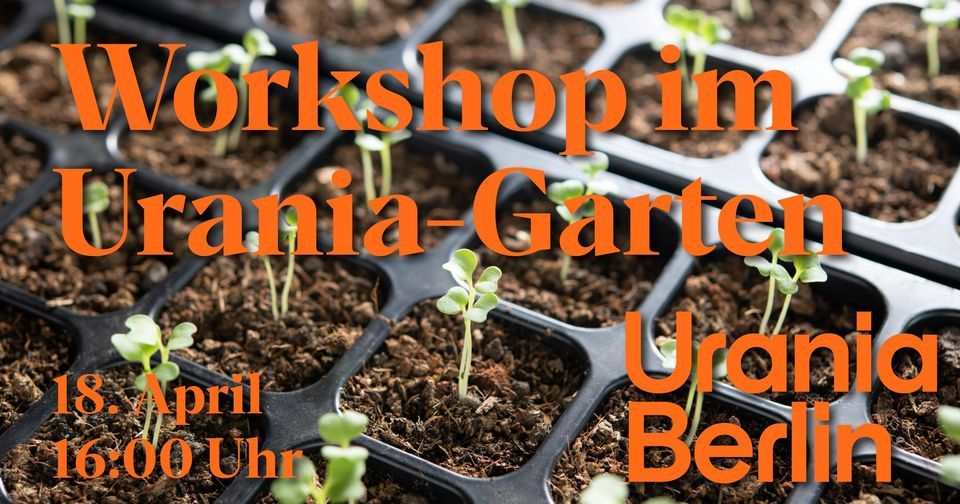 Workshop im Urania Garten