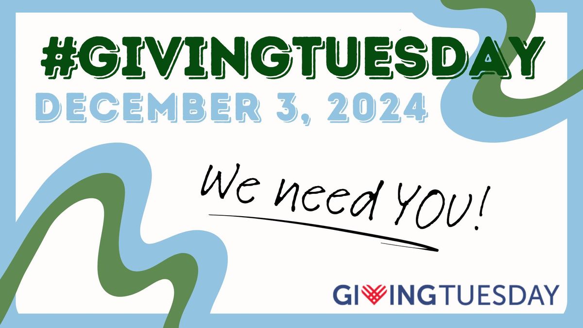 GivingTuesday 2024