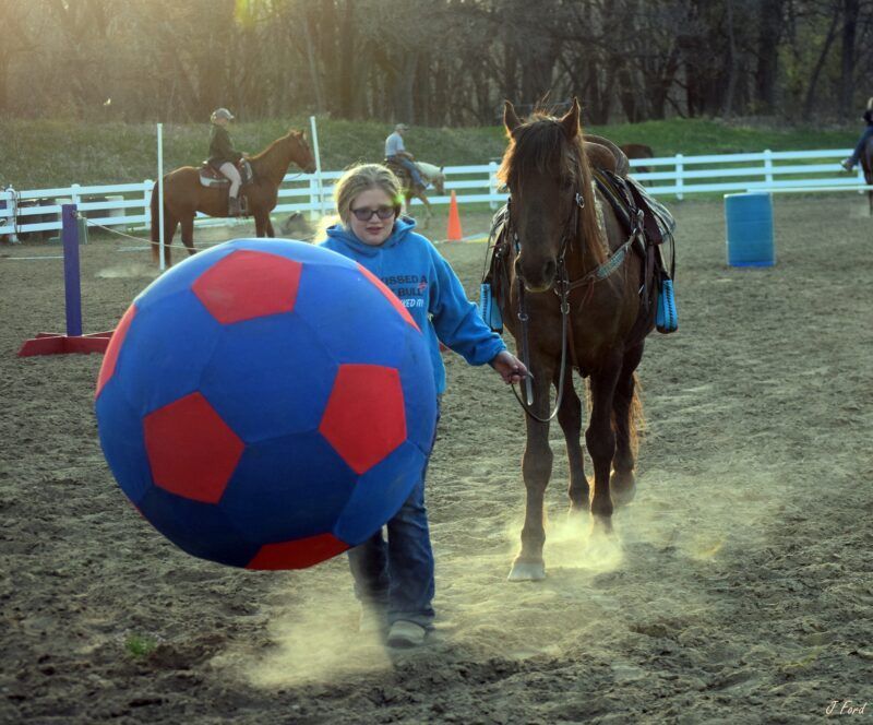 OSY Play Day Show 