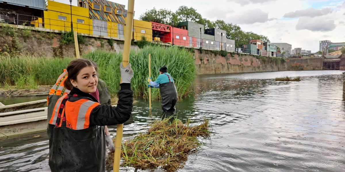 Dock Aquatic Invertebrate Survey