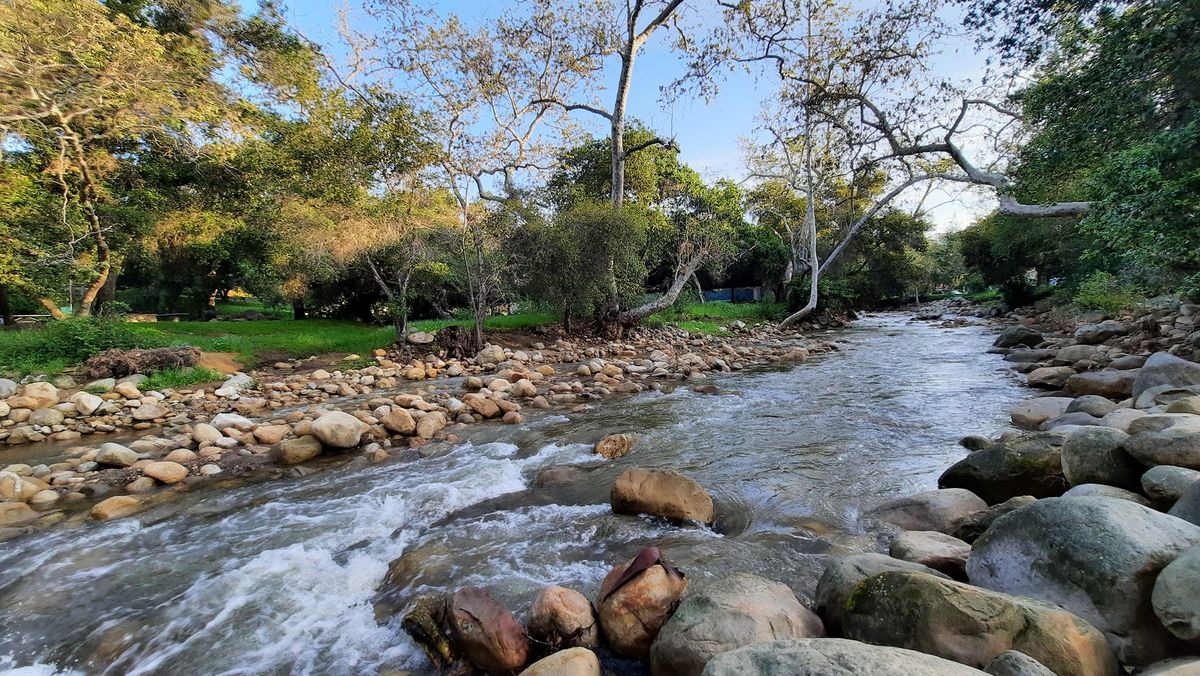 Tour of the Mission Creek Restoration Project at Oak Park