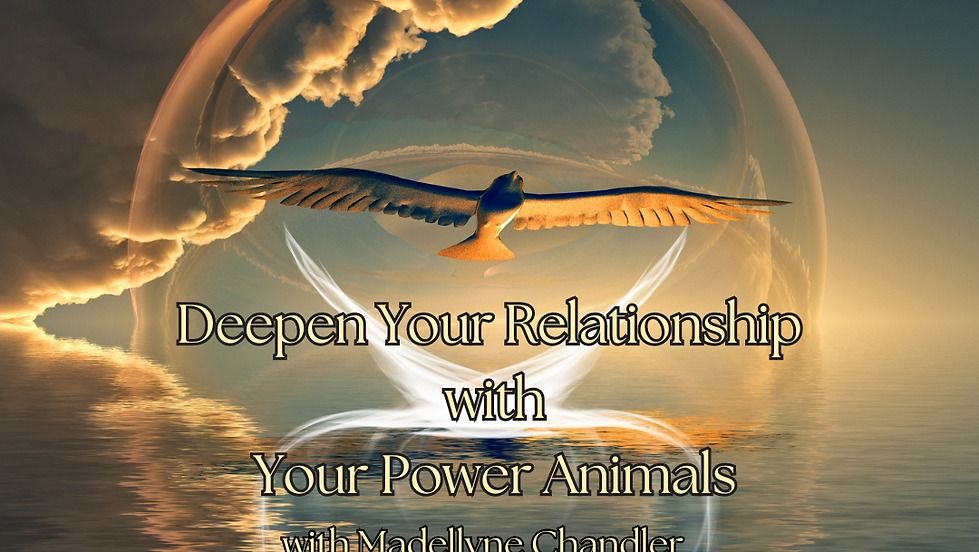 Deepen Your Relationship with Your Power Animal