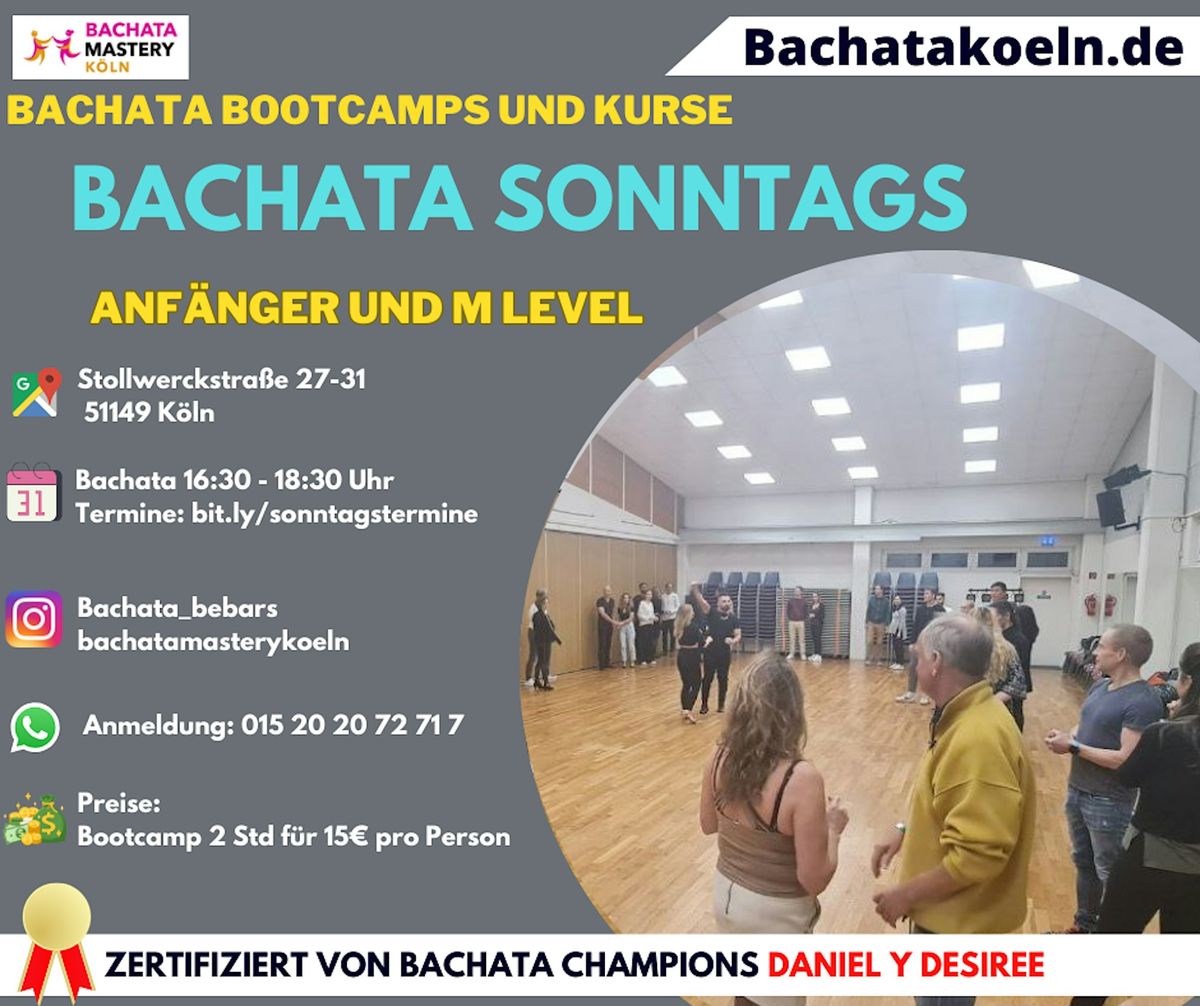 Bachata Bootcamp in K\u00f6ln, Bachata lernen Sonntags, free Parking