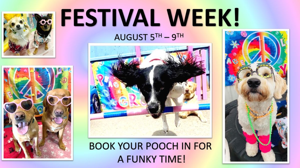 FESTIVAL WEEK AT SUFFOLK DOG TOWN! 
