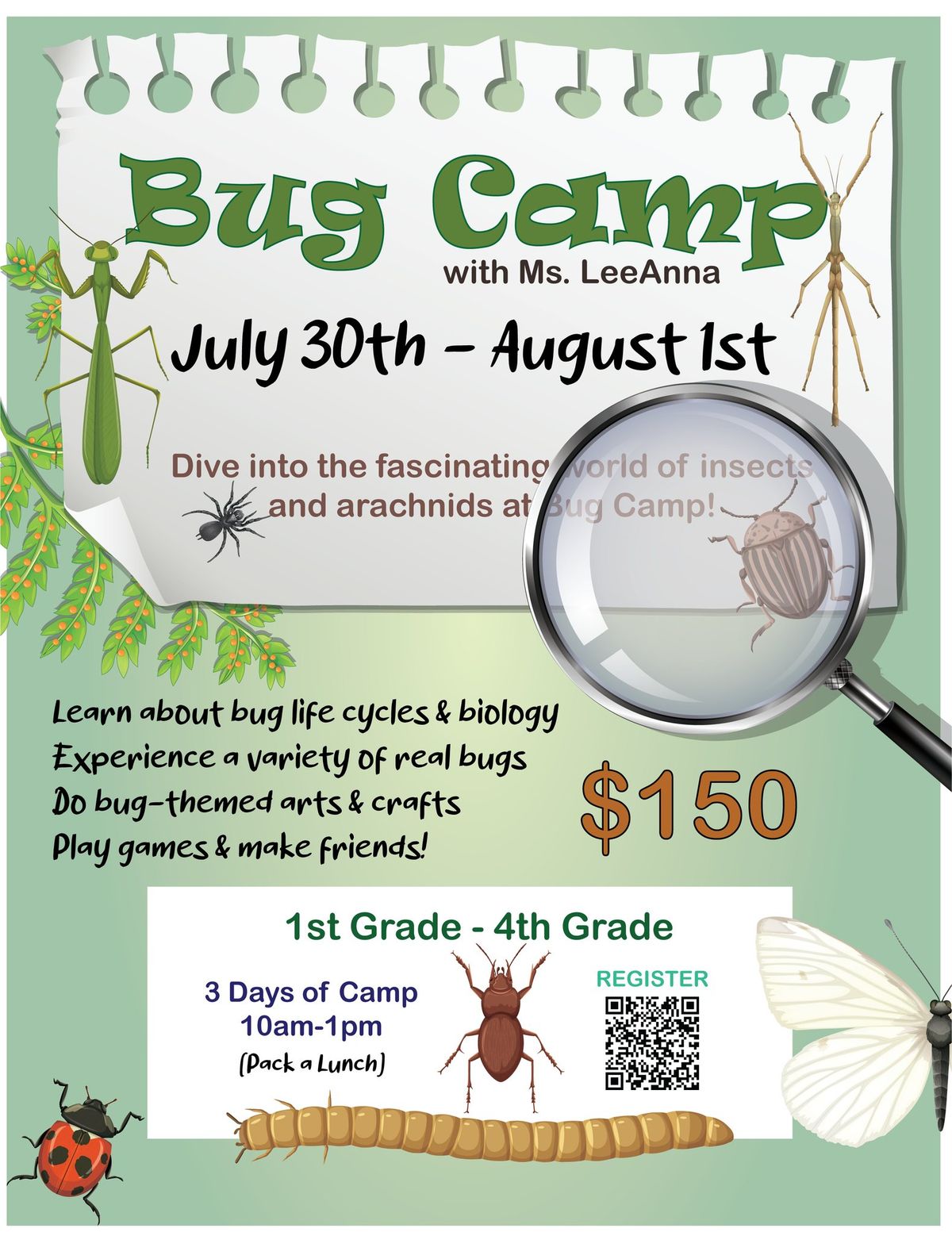 Bug Camp!