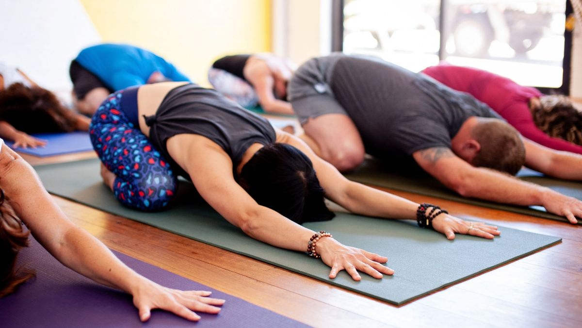 Beginners Yoga Foundations