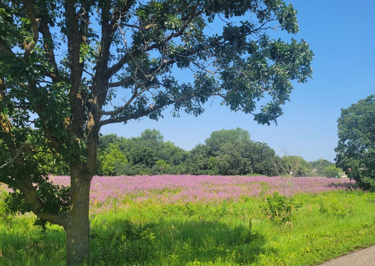 How to Plant a Prairie Workshop