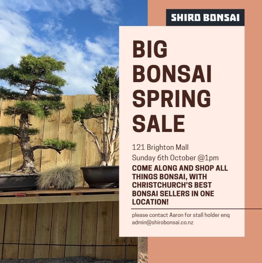 Big Bonsai Spring Sale