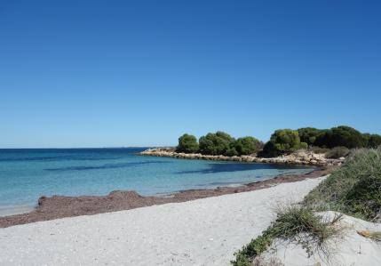 Snorkelling @ Woodman Point - Intermediate Level