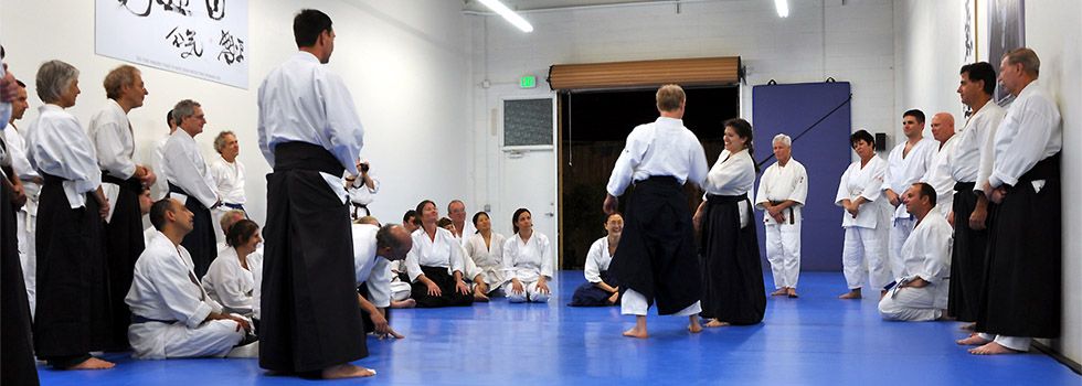 Evolutionary Aikido Seminar 2024