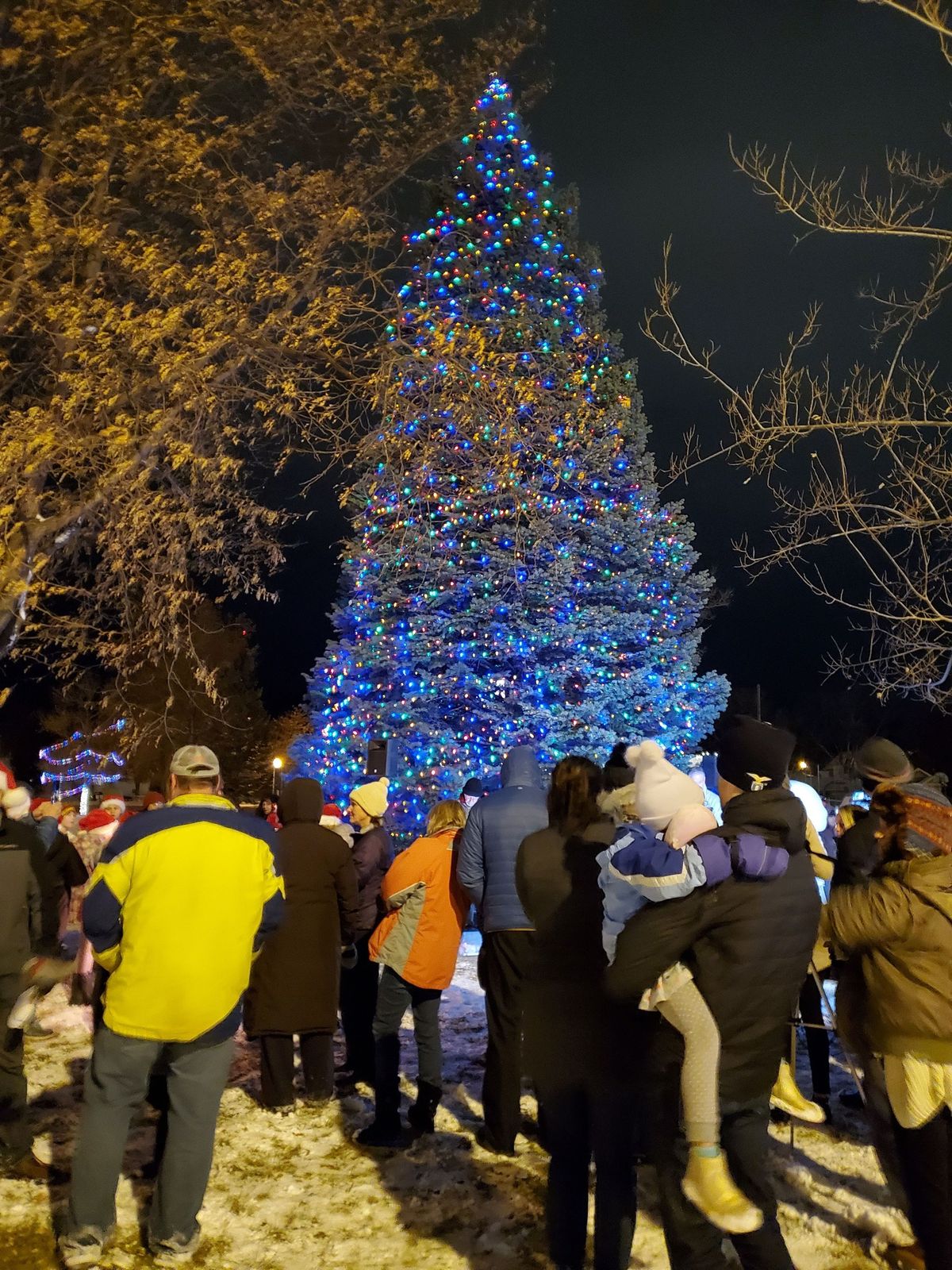 16th Annual Wilson Park Lighting Ceremony