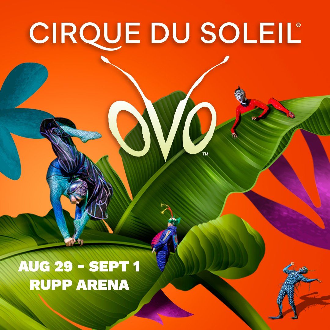 Cirque du Soleil Ovo at NOW Arena